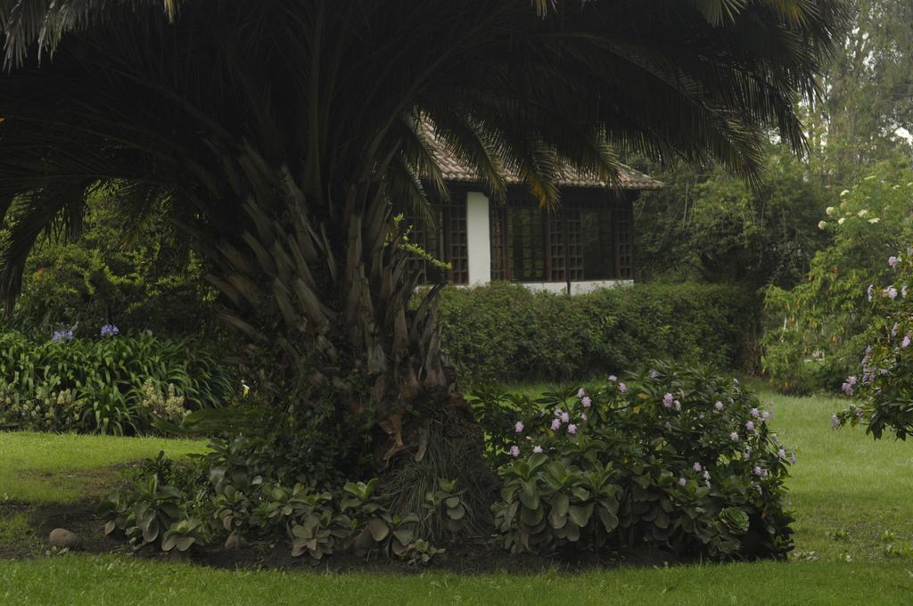Molino San Juan Cayambe Exterior photo